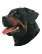 Autocollant chien, Dieren en Toebehoren, Honden-accessoires, Nieuw, Ophalen