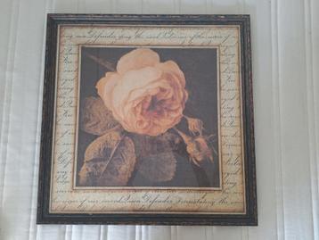 Kader met roos 74.5 cm x 74.5 cm, Enlèvement, Comme neuf