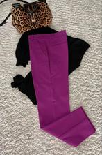 Broek Pinko, Kleding | Dames, Paars, Nieuw, Ophalen of Verzenden, Lang