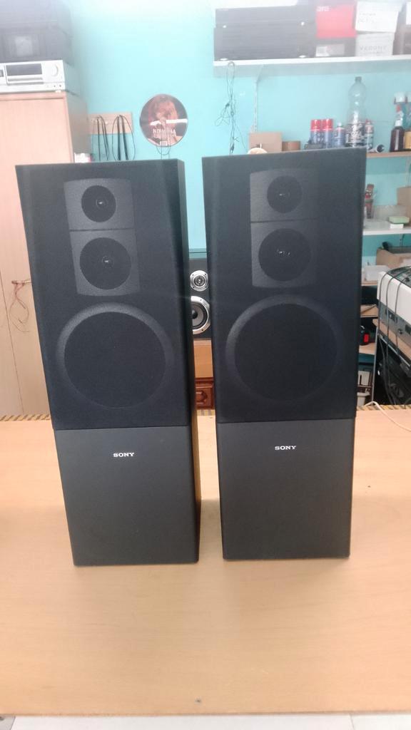 Prachtige vloerstaanders Sony koopje, Audio, Tv en Foto, Luidsprekerboxen, Zo goed als nieuw, Sony, Ophalen