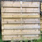 Tuinschermen, Tuin en Terras, Ophalen, 150 tot 200 cm, Nieuw, 150 tot 200 cm