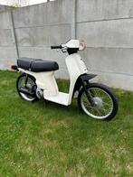 TOPSTAAT 83 HONDA SCOOPY, Fietsen en Brommers, Tweetakt, Zo goed als nieuw, Ophalen, Overige merken