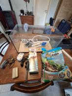 Aquarium, Dieren en Toebehoren, Vissen | Aquariumvissen