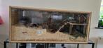 *** GRATIS *** Hamsterkooi met dwerghamster, Dieren en Toebehoren, Ophalen of Verzenden, Hamster