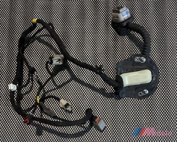 DODGE RAM 1500 BEDRADING DEUR LINKS ACHTER 7184-4230 beschikbaar voor biedingen