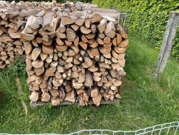 Bois de chauffage mixte, 3 à 6 m³, Enlèvement, Autres essences de bois, Bûches