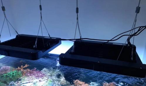 Philips coralcare gen 2 lampen, Dieren en Toebehoren, Vissen | Aquaria en Toebehoren, Gebruikt, Verlichting of Verwarming, Ophalen of Verzenden