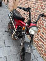 Honda dax skyteam, Fietsen en Brommers, Overige modellen, Ophalen of Verzenden, Klasse B (45 km/u), Zo goed als nieuw