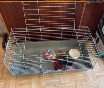 Konijnenhok volledig met alle toebehoren, eten en speeltjes beschikbaar voor biedingen