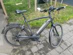 Speedbike Gazelle Cityzen 380, Fietsen en Brommers, Elektrische fietsen, Ophalen, Gebruikt, Gazelle