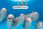 3 Tickets boudewijnpark brugge, Tickets en Kaartjes, Recreatie | Dierentuinen