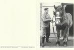 Frans Vorsselmans met paard 1932-2004, Collections, Images pieuses & Faire-part, Enlèvement ou Envoi