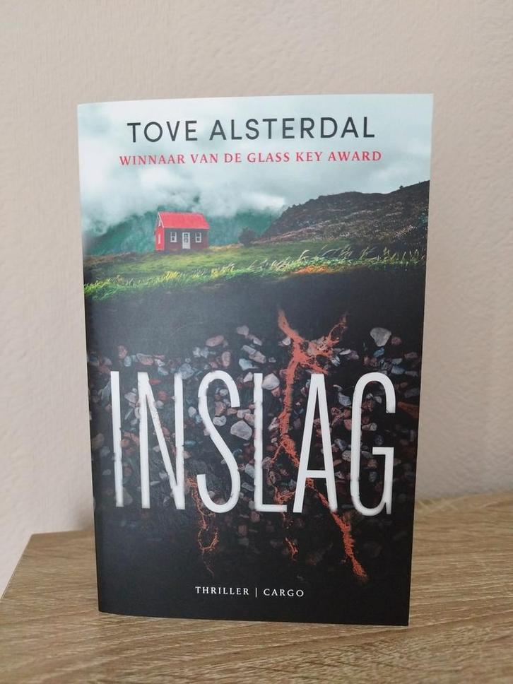 Boek te koop: Tove Alsterdal - Inslag, Boeken, Thrillers, Zo goed als nieuw, Scandinavië, Ophalen of Verzenden
