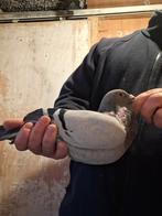 Bewezen jonge duiver 2025, Dieren en Toebehoren, Vogels | Duiven