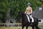zwarte dressuurmerrie, Dieren en Toebehoren, Paarden, Merrie, Gechipt, M, 11 jaar of ouder