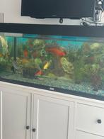 Poissons meuble Aquarium, Ophalen, Zo goed als nieuw
