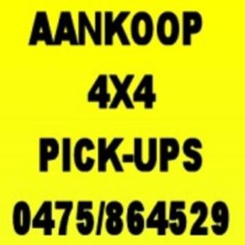 Aankoop 4x4 , pick-ups , bestelwagens disponible aux enchères