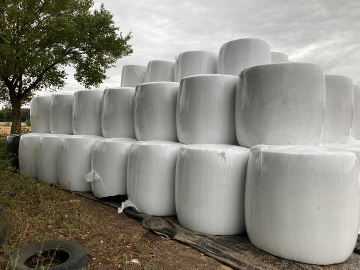 Grote maisbalen 2025, Zakelijke goederen, Landbouw | Veevoer, Ophalen