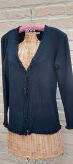 Vest maat xl etam, Vêtements | Femmes, Pulls & Gilets, Enlèvement ou Envoi, Comme neuf, Taille 46/48 (XL) ou plus grande, Noir