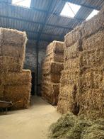 Tarwe stro te koop, Zakelijke goederen, Landbouw | Veevoer, Ophalen