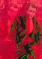 James dean" American icon  "david dalton", Ophalen of Verzenden, Zo goed als nieuw