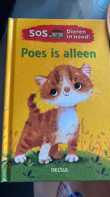 Tina Nolan - Poes is alleen beschikbaar voor biedingen
