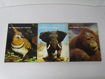 Lot Lekturama Encyclopedieën - ‘Geheimen der dierenwereld’ beschikbaar voor biedingen