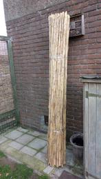 Gratis BAMBOO, Tuin en Terras, Schuttingen, Ophalen, Nieuw