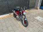 Skyteam dax | 50 cc | bordeaux, Fietsen en Brommers, Ophalen, Gebruikt, Overige modellen, Klasse B (45 km/u)