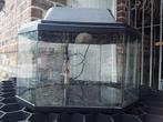 Exagonaal aquarium 30 liter, Ophalen, Gebruikt