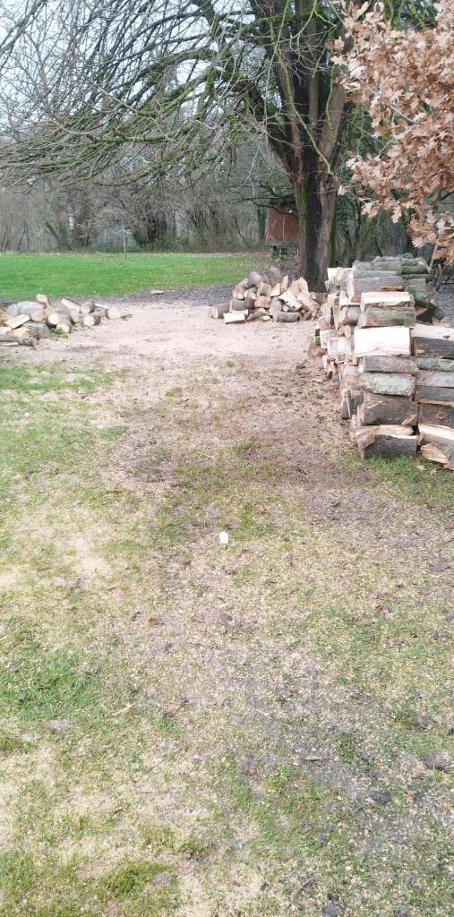 Élagueur grimpeur Brabant wallon, Jardin & Terrasse, Bois de chauffage, Troncs d'arbres, Autres essences de bois, Moins de 3 m³