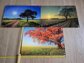 3 foto kaders acryl - seizoenen  beschikbaar voor biedingen
