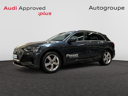 Audi e-tron E-Tron 95 kWh 55 Quattro Advanced, Auto's, Audi, Overige modellen, ABS, Airbags, Cruise Control, Navigatiesysteem