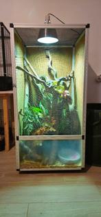 Flexarium 60 x 60 x 120, Animaux & Accessoires, Enlèvement