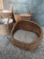 Lot de 3 cache-pots en osier + 1 panier pour petit chat, Enlèvement, Neuf, Autre
