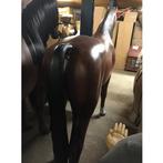 Horse Life Size – Paard 210 / 256 cm - levensgroot, Ophalen, Nieuw, Paard