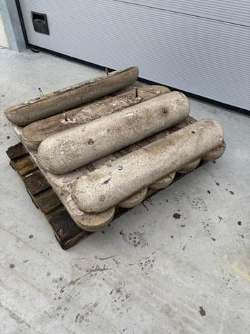 varkensruggen beschikbaar voor biedingen