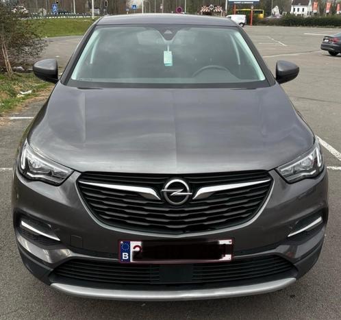 Opel Grandland x, Auto's, Opel, Particulier, Grandland X, ABS, Achteruitrijcamera, Adaptieve lichten, Airbags, Airconditioning