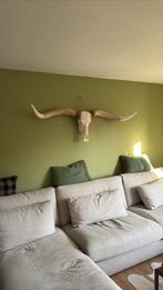 Texas Longhorn skull, Huis en Inrichting, Ophalen of Verzenden, Nieuw