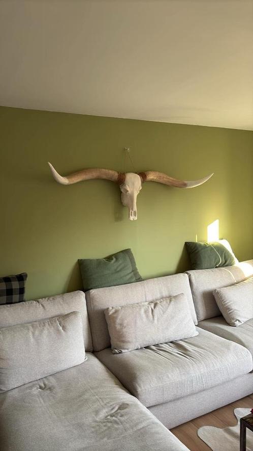 Texas Longhorn skull, Huis en Inrichting, Woonaccessoires | Wanddecoraties, Nieuw, Ophalen of Verzenden