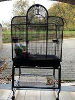Kooi, Dieren en Toebehoren, Vogels | Hokken en Kooien, Ophalen, Gebruikt, Metaal, Vogelkooi