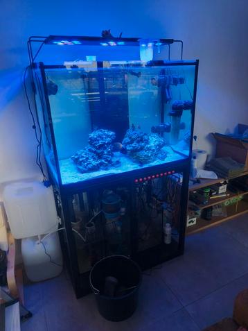 Zee aquarium  beschikbaar voor biedingen