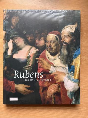 Rubens, een genie aan het werk