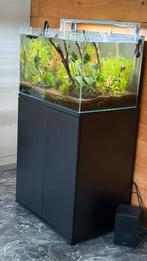 Aquarium met alle toebehoren, Dieren en Toebehoren, Vissen | Aquaria en Toebehoren, Ophalen, Zo goed als nieuw