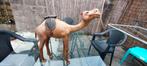 Camelkleurig leer, Ophalen of Verzenden