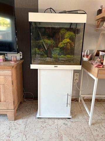 Aquarium met meubel + X-Pro 1000 buitenfilter beschikbaar voor biedingen