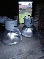 Industriële lampen, Verre, Utilisé, 50 à 75 cm, Industriële