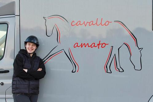 Dressuurles en training, Dieren en Toebehoren, Paarden