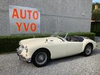 MG A  roadster 1956, Cuir, Achat, Entreprise, Cabriolet