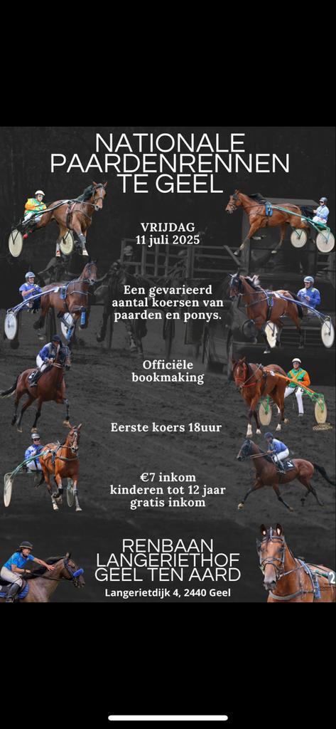 Paardenkoers te Geel (2440), Dieren en Toebehoren, Paarden en Pony's | Overige Paardenspullen, Ophalen